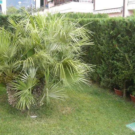 Giardino Zen Loano Lejlighed *